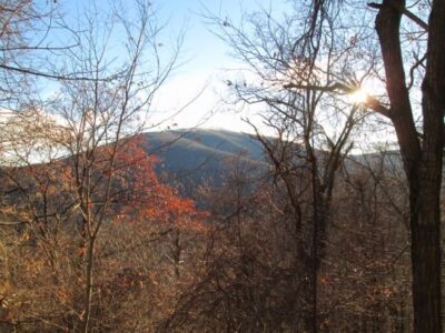 Mountain Hunting Image